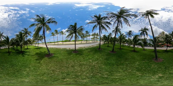 360 Miami Beach Lummus Park Palmen Equirectangular Foto — Stockfoto