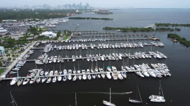 Punto Interés Aéreo Miami Coconut Grove Marina — Vídeo de stock