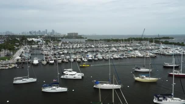 Aerial Rośnie Ujawnić Żaglówki Miami — Wideo stockowe