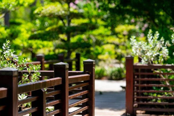 Natuurpad Met Houten Hek — Stockfoto