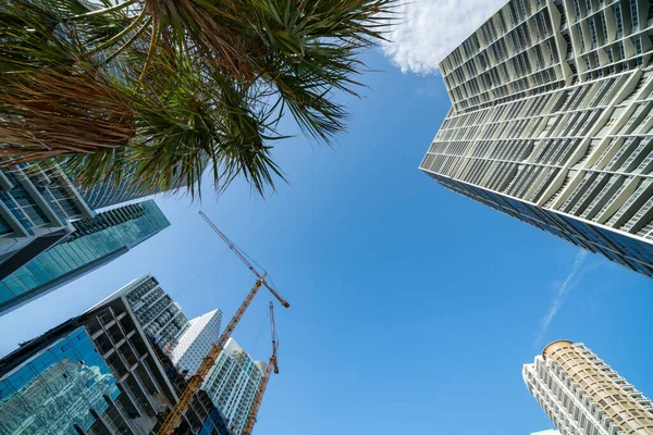 Kamera Přímo Nahoru Pohled Centrum Miami Výškových Věží Palem — Stock fotografie