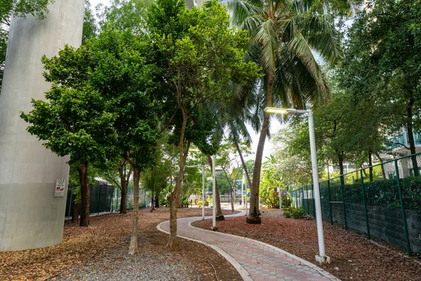 Fotografie Pěší Stezky Miami Greenway — Stock fotografie