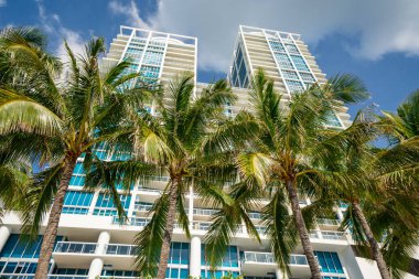 Modern yüksek binalar Miami Beach FL ABD Palmiye ağaçları ile