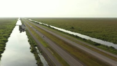 Florida Otoyolları Timsah Alley Everglades