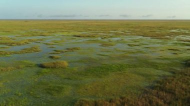Hava yörüngesi Florida Everglades 'i vurdu. ABD' yi koruyor.