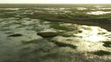 Bataklık suyunda parlayan hava videosu güneşi