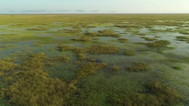 Florida Everglades 'in hava görüntüleri bataklık arama kurtarma için kullanılabilir.