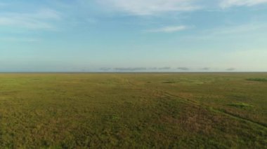 Hava yükselişi Florida Everglades 'in doğayı koruduğunu ortaya çıkardı.