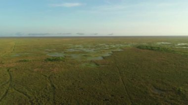 Doğal Florida Everglades havası bataklık manzarası