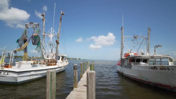 Barcos Pesca Camarão Uma Marina Matlacha Eua — Vídeo de Stock