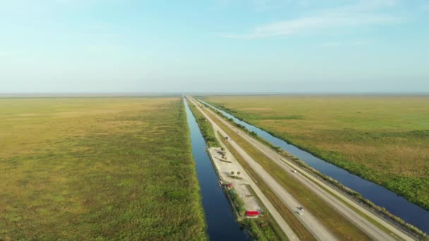 Hava Görüntüsü Timsah Alley Florida Everglades — Stok video