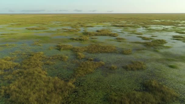 Съемки Воздуха Florida Everglades Clip Могут Использованы Поиска Спасения Болот — стоковое видео
