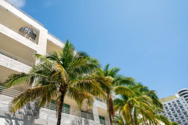 Deko mimarisi ve palmiye ağaçları Miami Beach FL