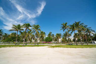 Palm trees Miami Beach FL ABD Yazı 2020