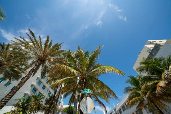 Färgglada Palmer Miami Beach Ocean Drive — Stockfoto