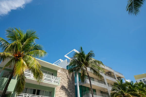 Edificios Palmeras Miami Beach — Foto de Stock