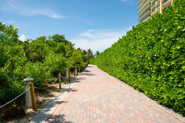 Miami Beach Atlantic Greenway Pěší Stezka Prázdná Během Coronavirus Covid — Stock fotografie