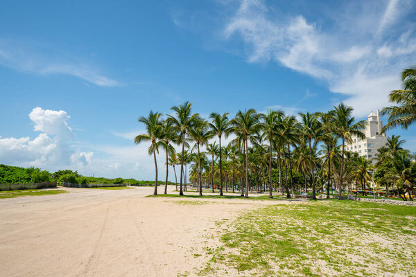 Пальмы Майами-Бич без людей