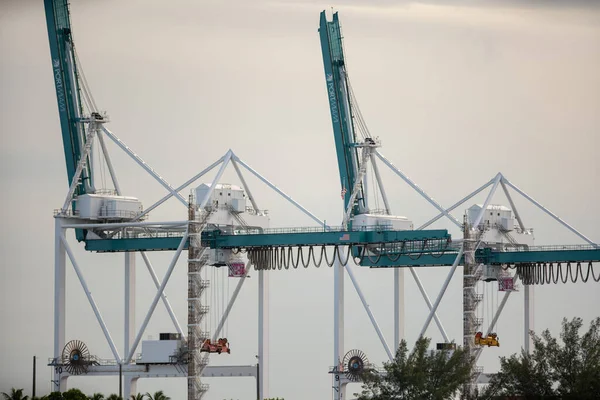 Port Miami Nakládací Jeřáby Pořízené Teleobjektivem — Stock fotografie