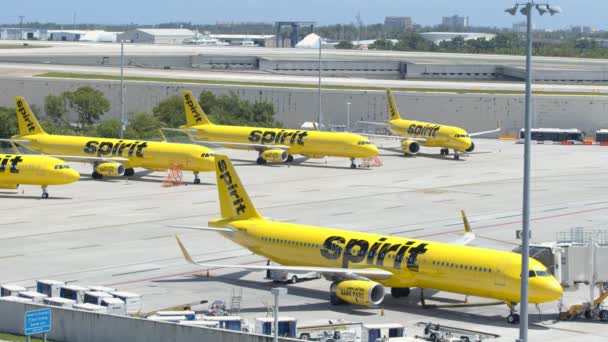 Fort Lauderdale Usa Août 2020 Vidéo Spirit Airplanes Ralenti Fll — Video