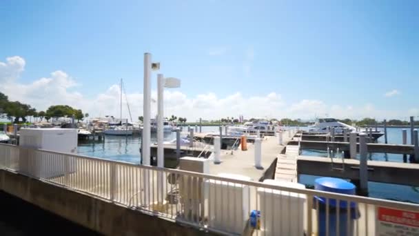 Yat Limanındaki Hareketli Video Tekneleri Peni — Stok video
