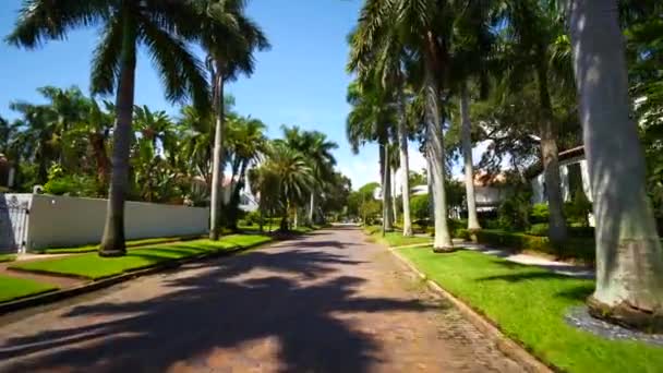 Barrio Histórico Petersburg Estados Unidos — Vídeo de stock