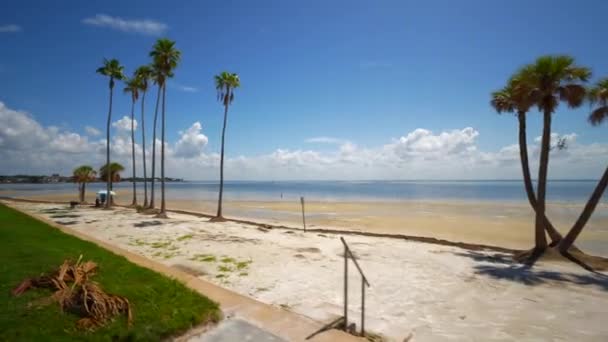 Tampa Körfezi Ndeki Petersburg Plajı 60P — Stok video