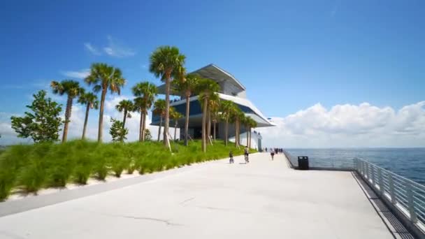 Petersburg Pier Florida Daki Kule 60P Görüntü Kaydı — Stok video