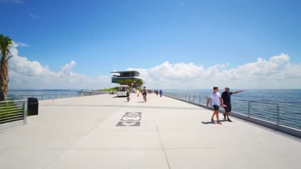 サンクトペテルブルク桟橋フロリダアメリカ合衆国4K — ストック動画