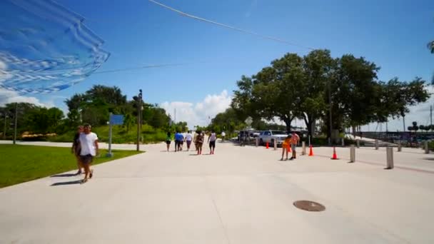 Jazda Rowerze Petersburg Pier Florida 60P Materiał — Wideo stockowe