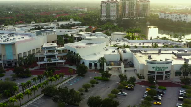 Hava Aracı Videosu Gardens Mall Florida Usa — Stok video