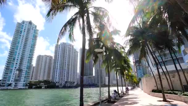 Miami Usa Septiembre 2020 Miami River Hyperlapse Riverwalk — Vídeos de Stock