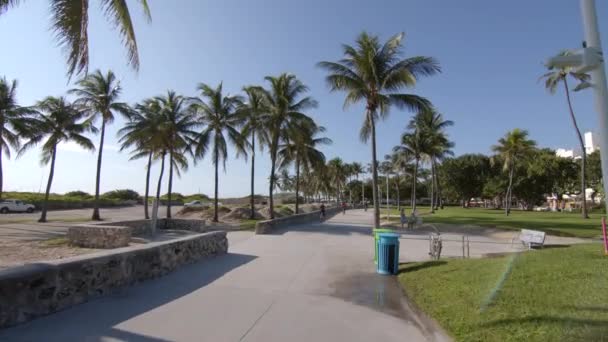 Miami Ηπα Σεπτεμβρίου 2020 Fitness Path Miami Beach Motion Video — Αρχείο Βίντεο