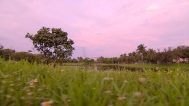 Düşük açı görüntüsü çimenleri aşıp göl manzarasına gidiyor.