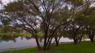 Göl kenarındaki ağaçlar 6 km hızla hareket ediyor.