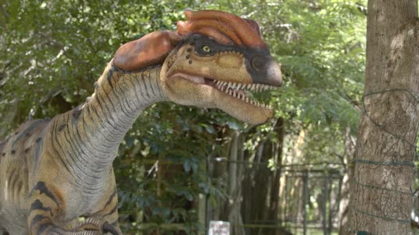 Dilofosaurus Teropod Animatronika Dinozaurów Wideo — Wideo stockowe