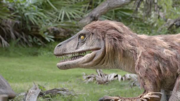 Animatronics Deinonychus Dinosaurio Video Metraje — Vídeos de Stock