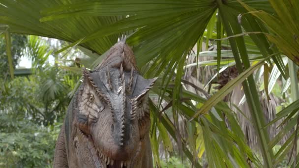 Animatronics Megalosaurus Dinosaur Footage — Stock Video