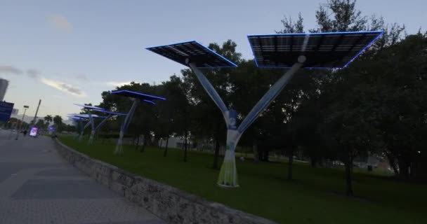 Miami Usa Жовтня 2020 Fpl Solar Power Tree Downtown Miami — стокове відео
