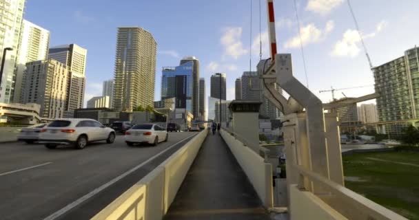 Miami Octubre 2020 Sendero Peatonal Puente Sobre Río Miami — Vídeos de Stock