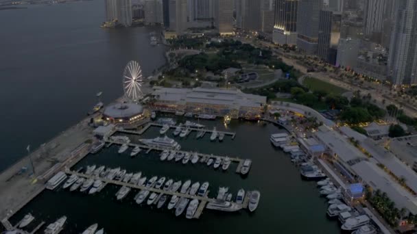 Twilight Footage Bayside Miami — Stock Video