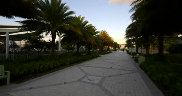 Deerfield Beach États Unis Octobre 2020 Visite Vidéo Parc Sullivan — Video