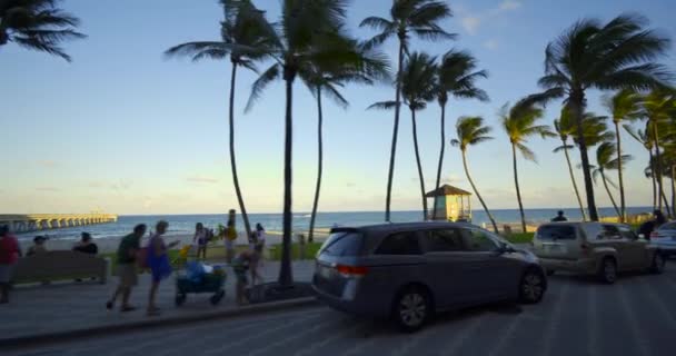 Deerfield Beach Usa Oktober 2020 Beach Scenic Deerfield Usa Palmer — Stockvideo