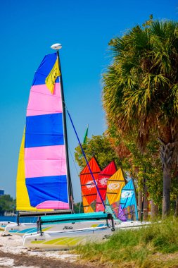Miami, FL, USA - February 25, 2024: Hobie sailing catamarans for rent and lessons on Key Biscayne Miami FL clipart
