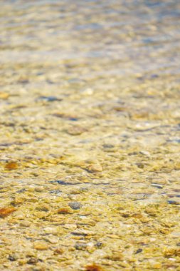 Su kıyısında sığ kaya manzarası