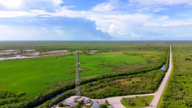 Büyük Kıbrıs Ulusal Koruması Ochopee Florida USA Everglades. Aerial 4k panorama stok videosu
