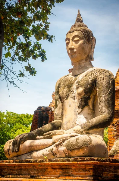 Oturma Buda heykelinin Wat Phra Mahatat, Ayutthaya, Tayland