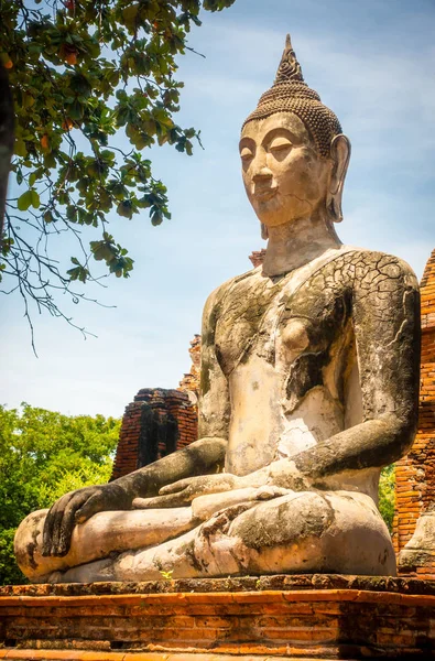 Statua Del Buddha Seduto Wat Phra Mahatat Ayutthaya Thailandia — Foto Stock