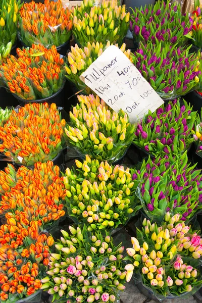 在斯德哥尔摩 欧洲的花卉市场出售郁金香 — 图库照片