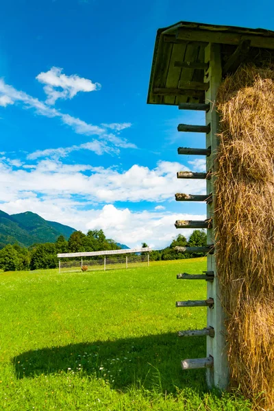 Straw Rick Planica Valley Ratece Borders Slovenia Austria Italy — Stock Photo, Image